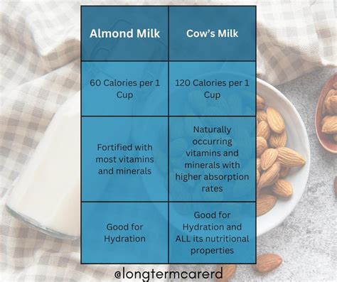 Can Vitamins Constipate You? Exploring the Tangled Web of Nutrients and Digestion