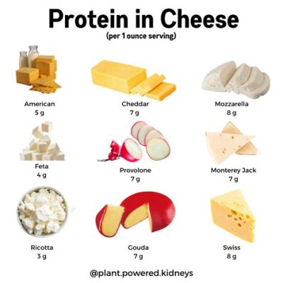 How Much Protein in 1 oz of Cheese: A Journey Through Dairy and Beyond