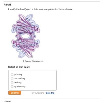 Identify the level(s) of protein structure present in this molecule. Let's dive into the cosmic dance of amino acids and their structural symphonies.